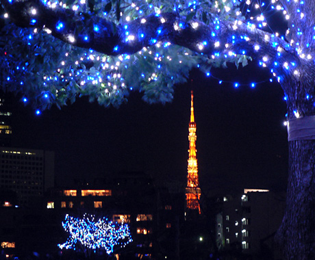 イルミネーション越しの東京タワー